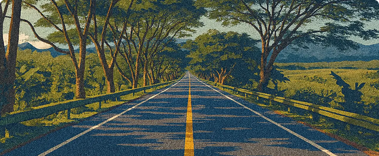 Our Story & Heritage